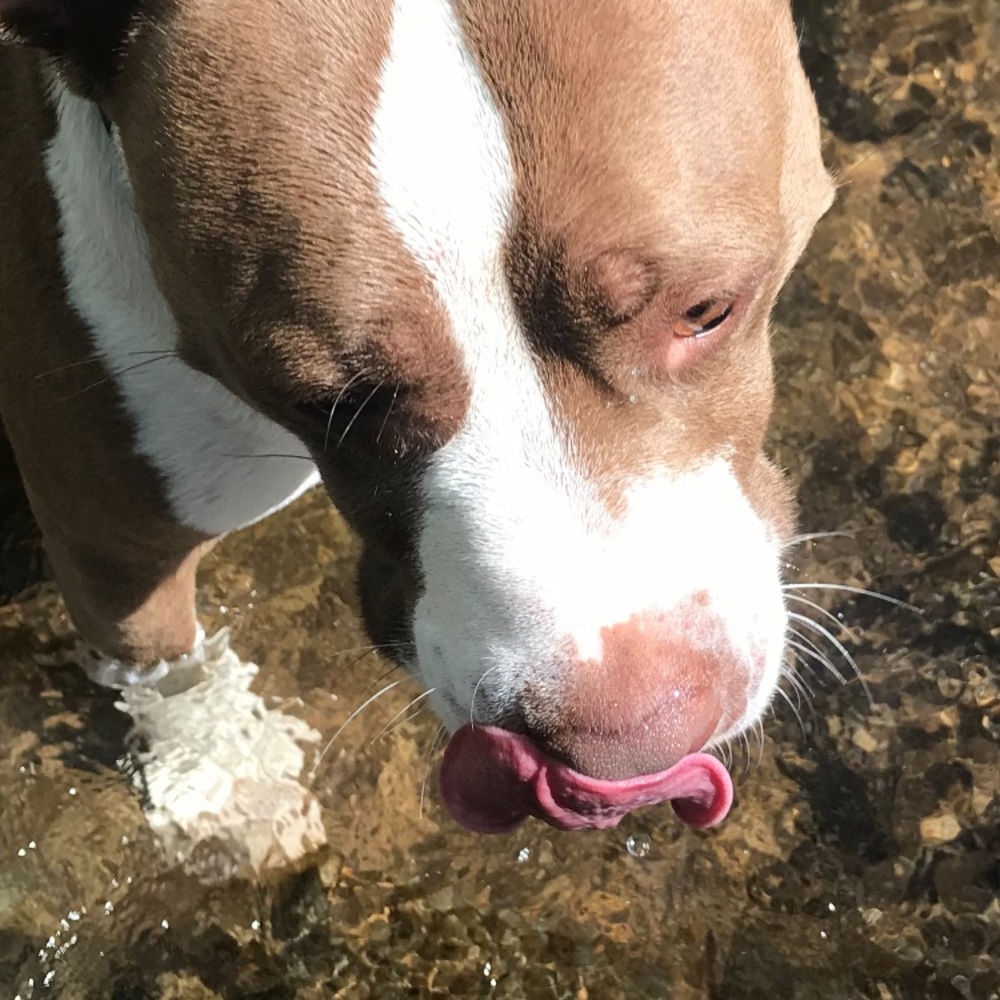 Meet your Posher, Lynn